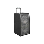 Басовый кабинет Ampeg PB210H